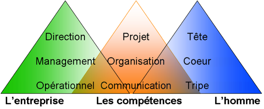 Structure universelle des entreprise